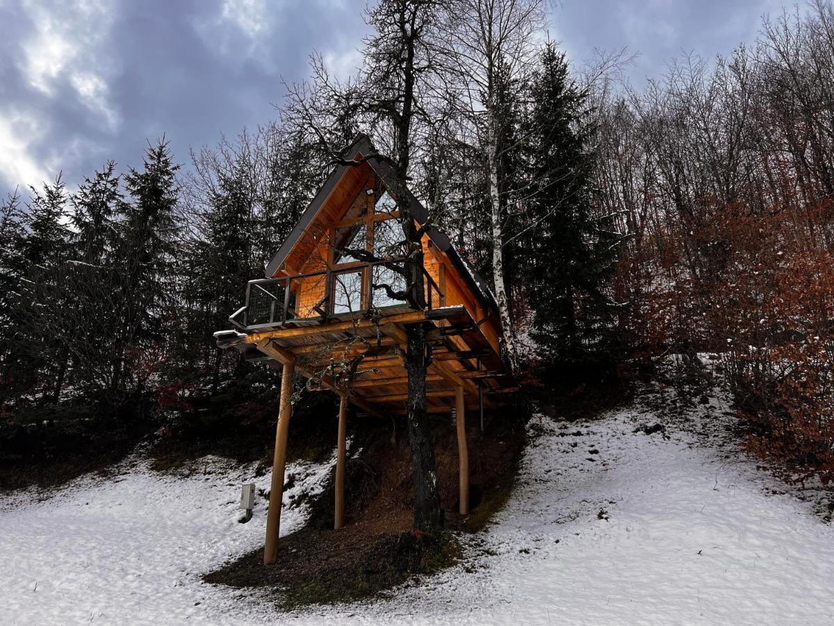 Tara Place - Camp Rabrenovic Mojkovac Exterior foto