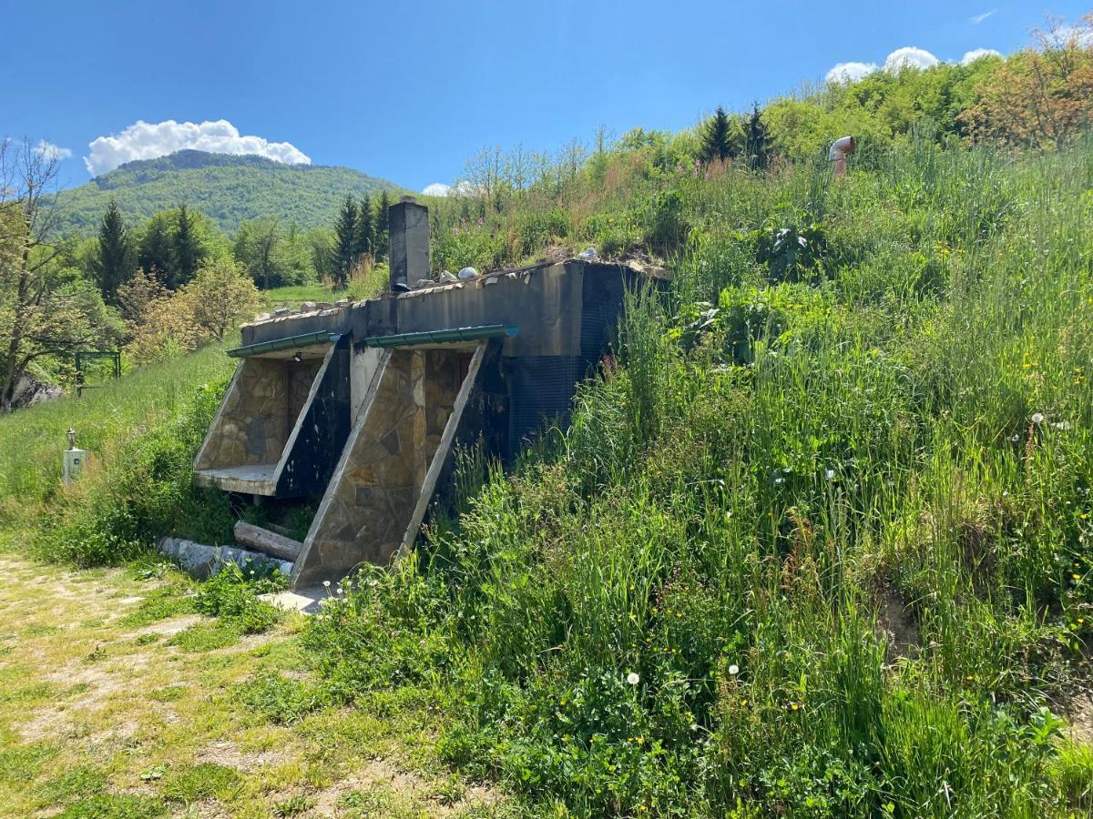 Tara Place - Camp Rabrenovic Mojkovac Exterior foto